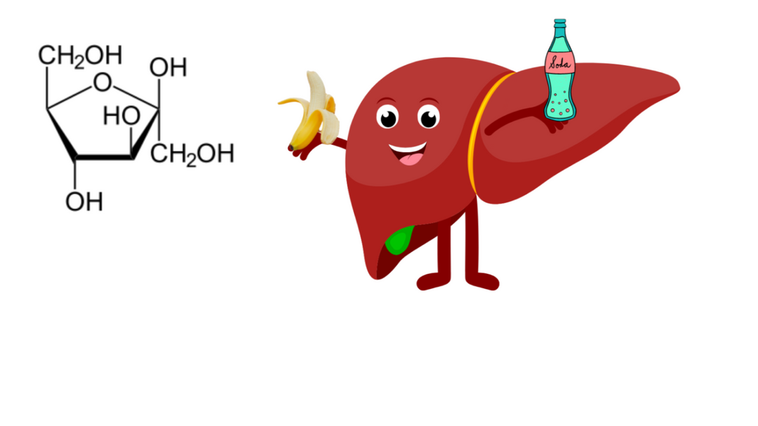 Fructose, Liver Health and NAFLD: The Hidden Risk of Excess Fruit