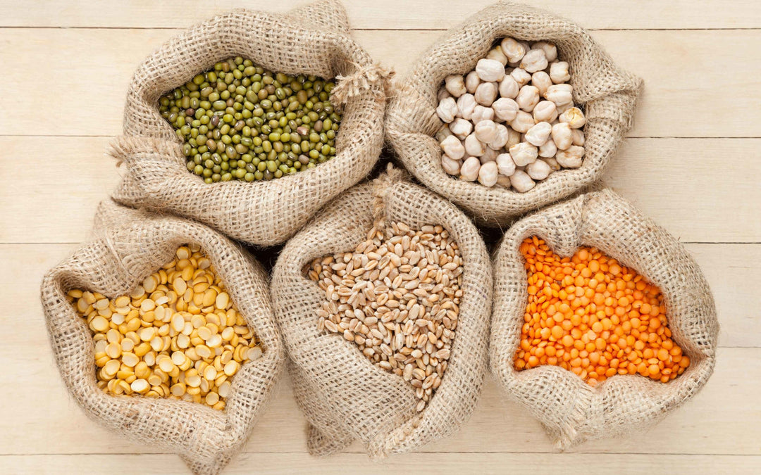 Plant-Based Protein Sources for Indian Vegetarian Diabetics