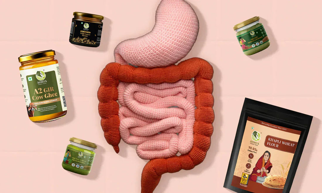 Indian Fermented Superfoods for Gut Health