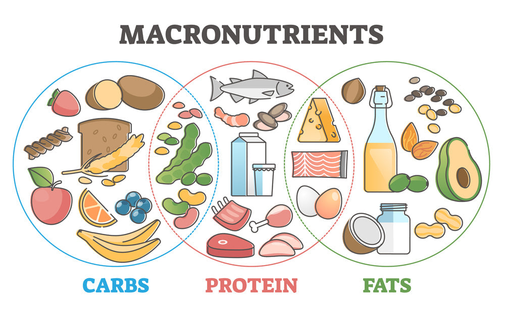 What Is a Good Ratio of Fat to Protein?