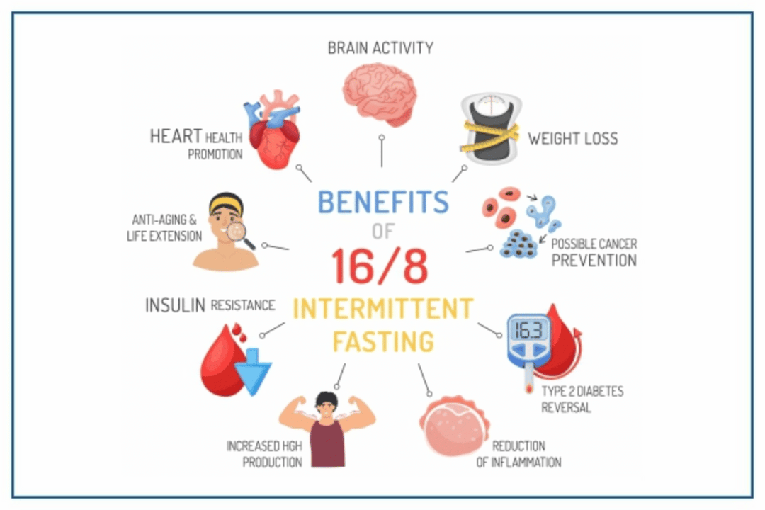 Can Intermittent Fasting Help Reduce Insulin Resistance?