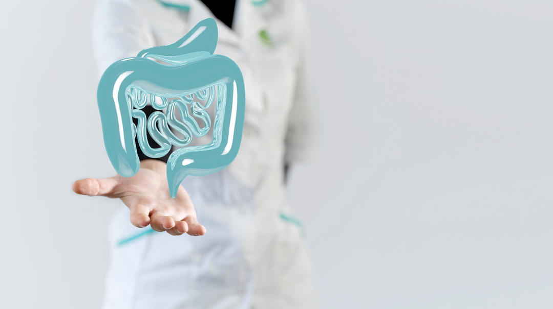 How a Clean Gut Controls Blood Sugar: The Science Behind Gut Microbiota and Insulin Sensitivity
