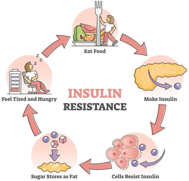 Signs of Insulin Resistance Every Indian Adult Should Monitor