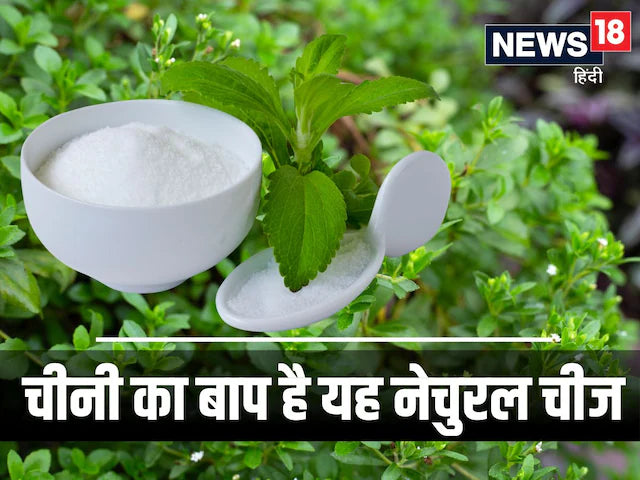 डायबिटीज में स्टेविया: ब्लड शुगर कंट्रोल के 5 वैज्ञानिक फायदे