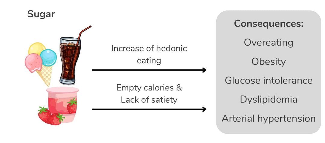 Why White Sugar is an Obesity Trap: Empty Calories That Make You Overeat