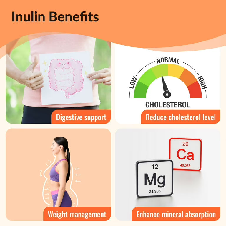 FOS vs Inulin: Which Prebiotic Fiber Is Best for Your Health?