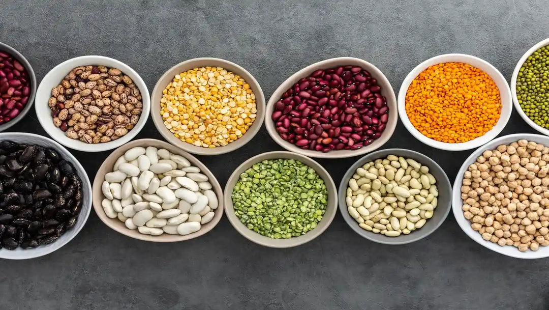 Legumes and Grains as Prebiotic Heroes