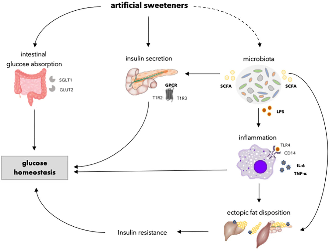 How Do Artificial Sweeteners Affect Long-Term Glucose Control?