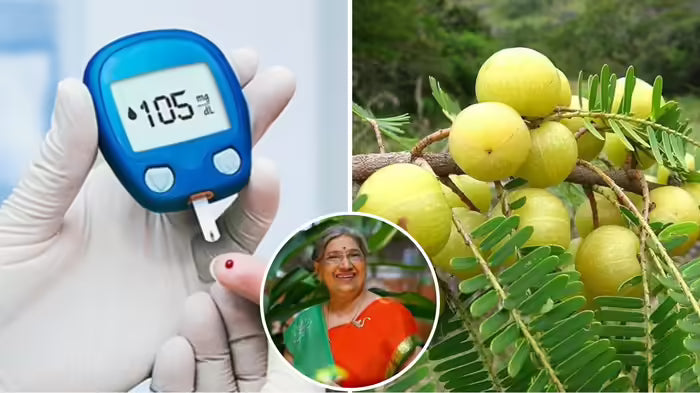 आयुर्वेद से डायबिटीज बचाव: गुड़ छोड़कर गुर्लुई चाय और तुलसी-अमला मिक्स