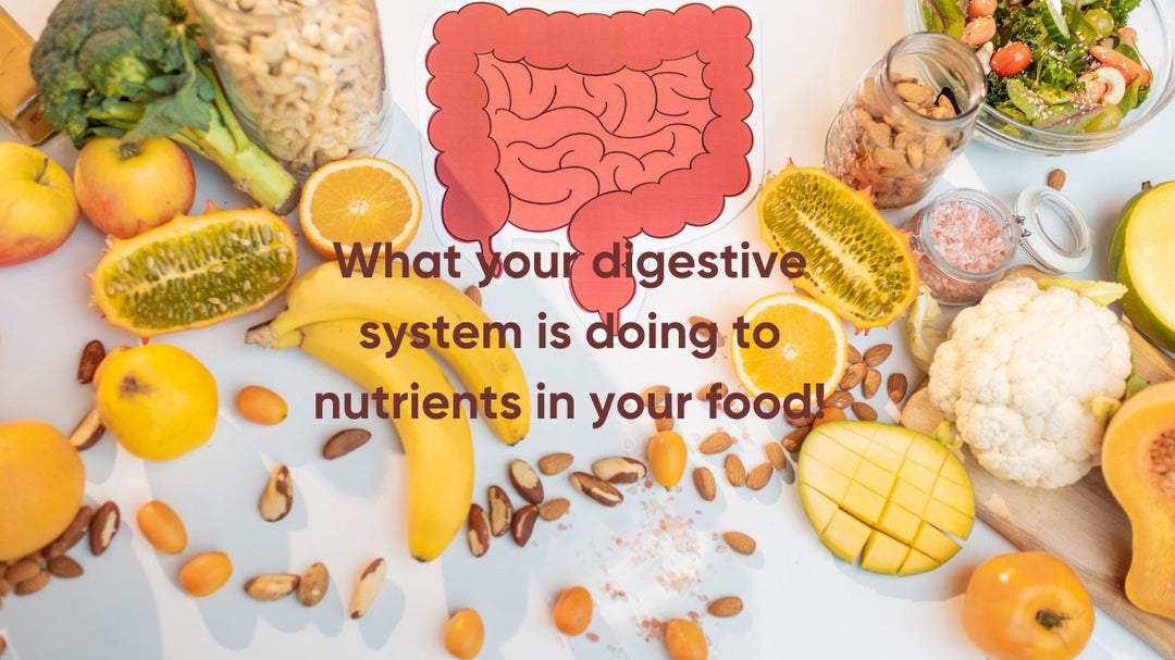 How your digestion is processing nutrients in your food? - Artinci