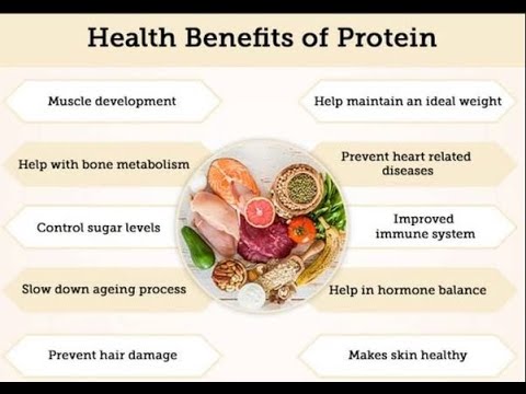 What does protein do for my body?