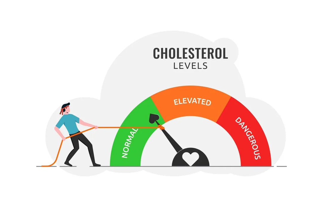 Does Reducing Added Sugar Improve LDL and HDL? What the Trials Say