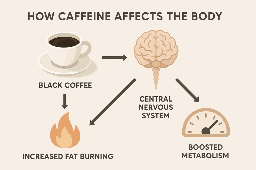Will Black Coffee Reduce Belly Fat?