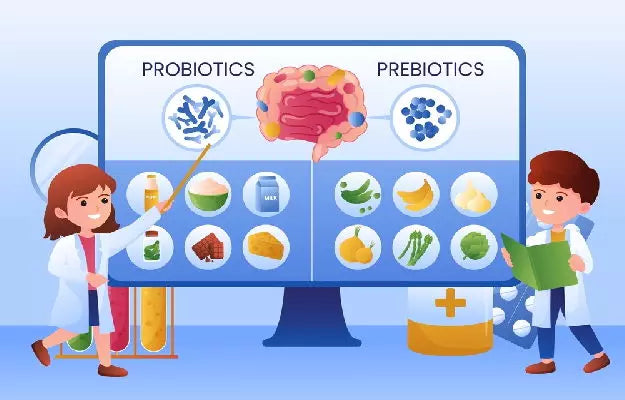प्रीबायोटिक्स बनाम चीनी: गट हेल्थ के लिए बेहतर विकल्प