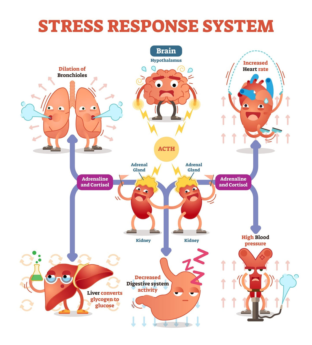 Stress, Diabetes Medications, and Dose Adjustments: When Stress Means Glucose Spikes